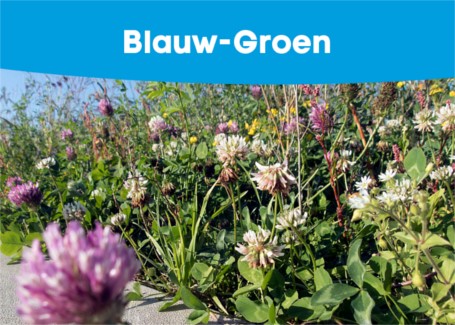 BlauwGroen